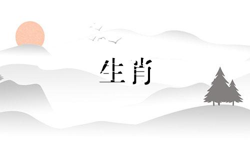 1972年属鼠什么命金木水火