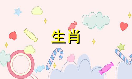 龙和兔在一起对谁不利 兔跟龙相冲吗