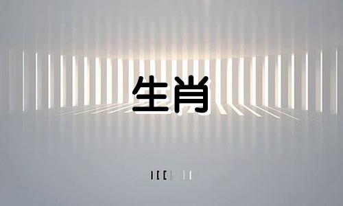 1954年属马几月出生好命 1954年属马的人是什么星座