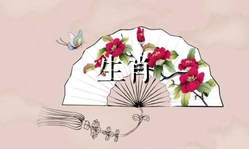 96年鼠要蛇宝宝还是马宝宝好