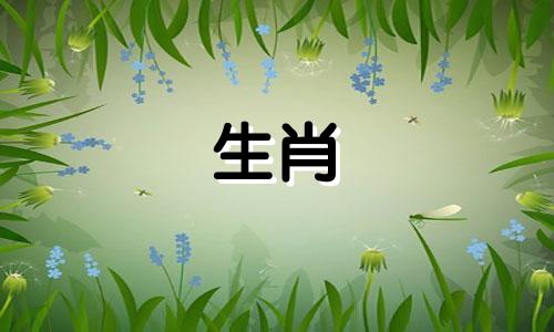 02年属马女适合早婚还是晚婚