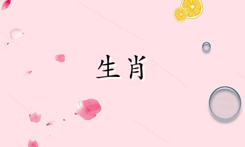 鸡蛇属相合还是相克的 为什么蛇和鸡不能结婚