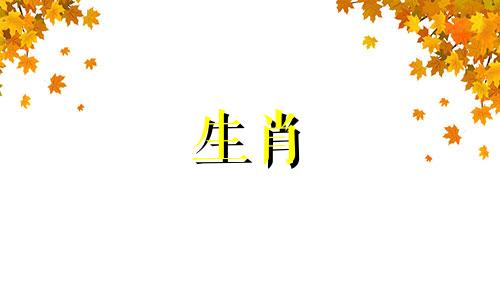 99年属兔和02年属马配不配婚姻