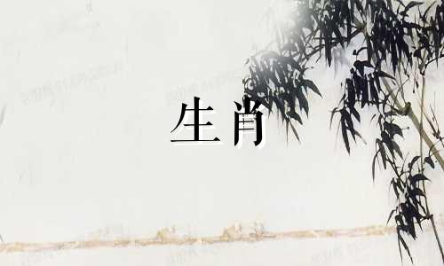 属鸡人各个时辰看一生运势如何