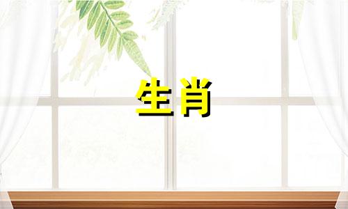 属虎人和属羊人合财吗女 属虎人和属羊人能在一起吗