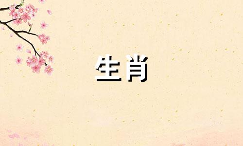 属猴在哪个城市比较旺财呢
