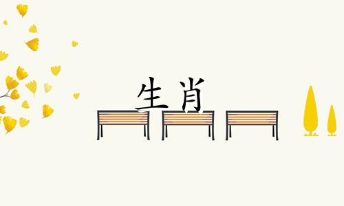 属虎人结婚忌什么属相不能做伴娘