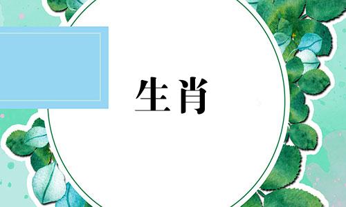 1980年属猴十年大运在哪年