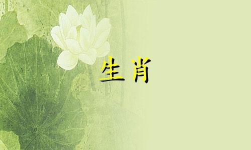 1962年属虎什么命五行属性