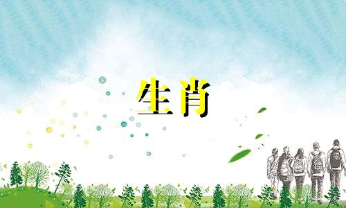 适合属鸡人的风水摆件有哪些