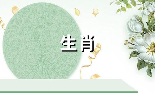 属龙什么时辰最聪明呢 属龙人最好的时辰是什么时候