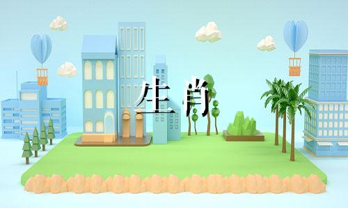 属兔在哪个城市比较旺财呢