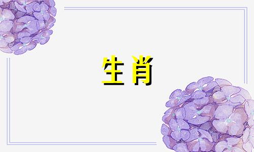 男龙比女羊大三岁合适吗婚姻如何呢