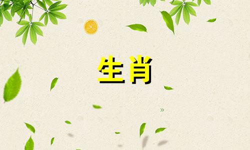 水兔年是哪些年份出生 属相水兔是什么意思