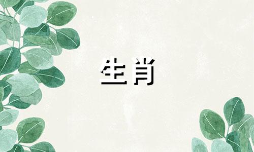 属鼠什么时辰最聪明呢 属鼠得什么时辰好