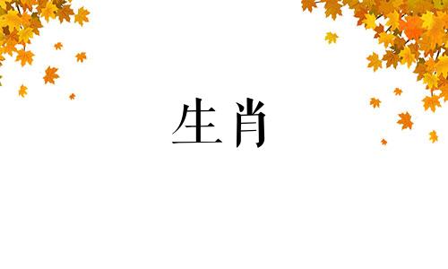一辈子害属鼠的生肖会怎么样