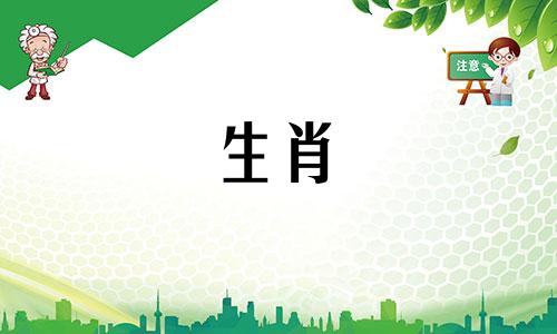 属鸡在哪个城市比较旺财呢
