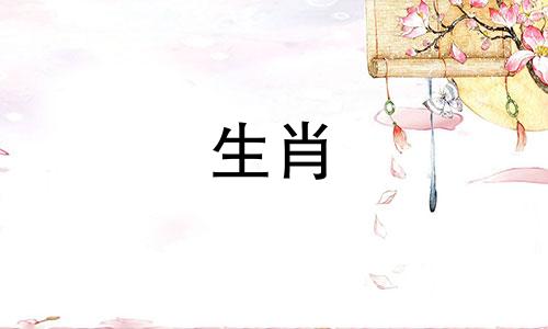 属马人结婚忌什么属相好 属马的人结婚什么属相要回避