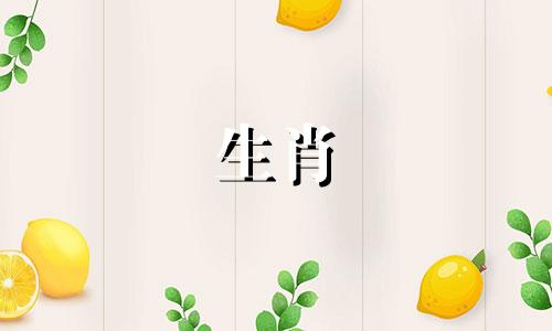 靠女性来养活的生肖男人是什么