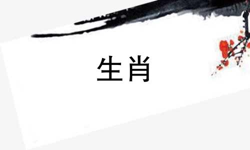 适合属猪人的风水摆件有哪些