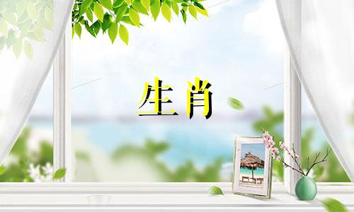 属羊在哪个城市比较旺财呢