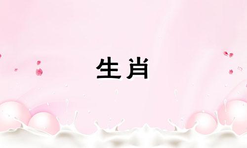 适合属兔人的风水摆件图片