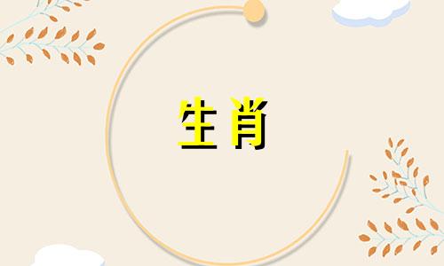 最旺猪的财神是谁,属猪的和哪个财神有缘分