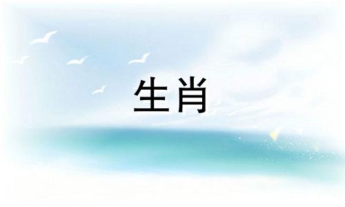 属羊什么时辰最聪明呢 属羊哪个时辰出生富豪命