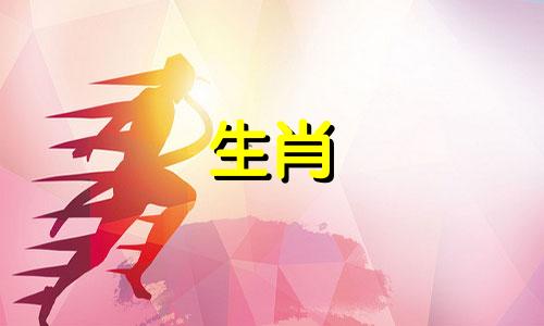 一辈子害属猪的生肖会怎么样