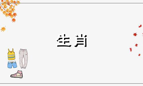 属猪在哪个城市比较旺2025