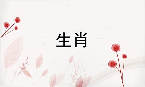 陪猴女走到最后的生肖男是什么