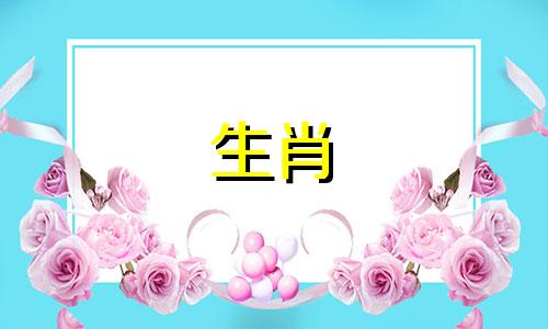 陪兔女走到最后的生肖男是什么
