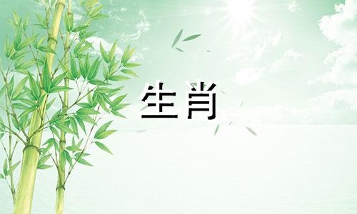 属蛇人财运不好怎么化解呢