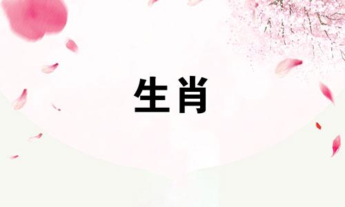 1975的兔2025女今年运气如何