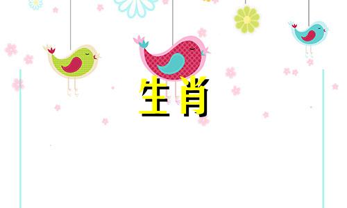 2025年属鼠人的全年运势详解
