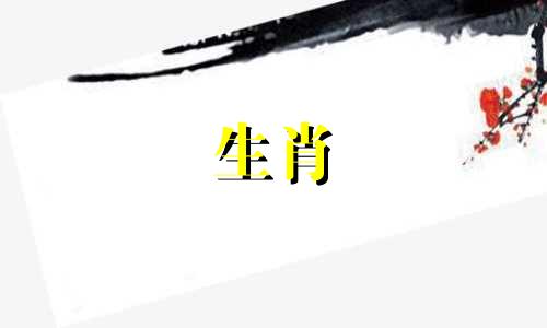 属蛇的人家中放什么最旺财
