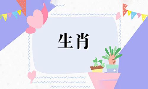 属马的人家中放什么最旺财