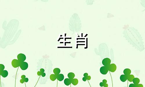 2025年属龙适合投资吗,2025年属龙人可以投资吗