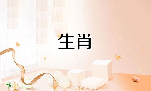 2007年农历三月初二属猪男孩命运如何