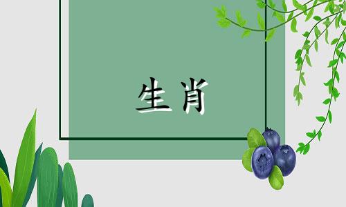 属虎人财运不好怎么化解呢