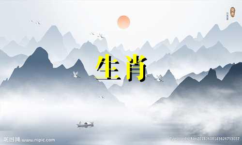属猪2025横财在几月出现的
