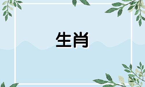 一辈子害属龙的生肖会怎么样