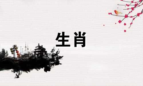 属兔的人家中放什么最旺财