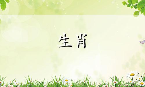 属鼠和属马的能过一辈子吗02