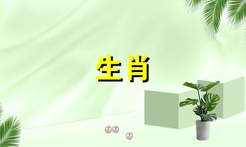 2025年属猴适合投资吗,2025年属猴人可以投资吗
