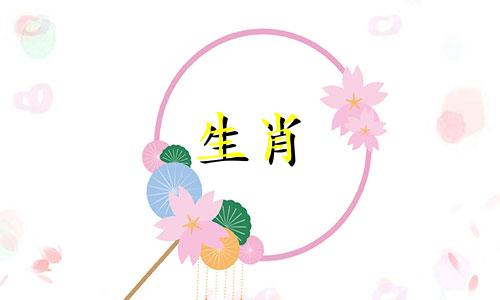 属龙的在2025年的运势好不好呢