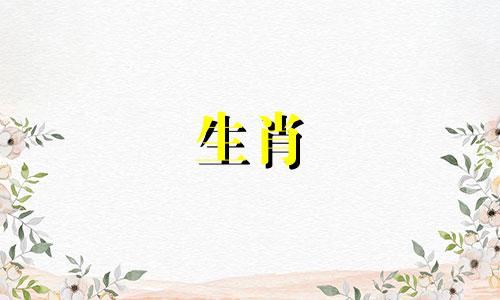 属兔人最大的恩人是谁 属兔一生注定情人