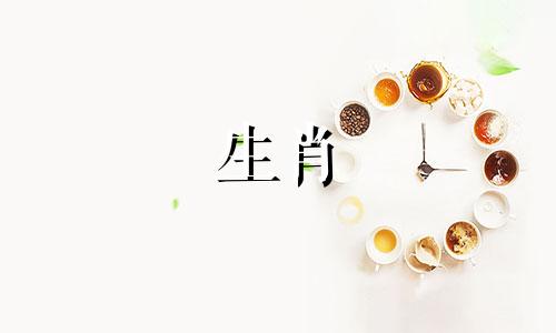 属蛇人的晚年运势如何 属蛇人晚年运程