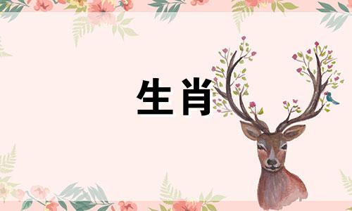 属马开店门朝哪比较好 属马开店大门朝向