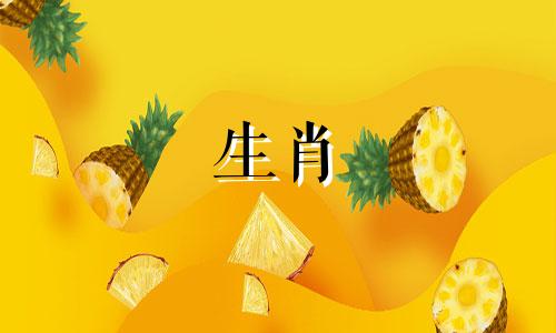 属羊之人一生最忌讳三样东西吗